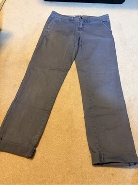 Pilcro and the Letterpress Blue Cropped Pants